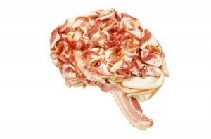 High Fat Brain Healthy Diet