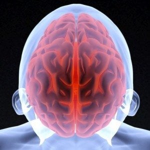 gluten effects on brain