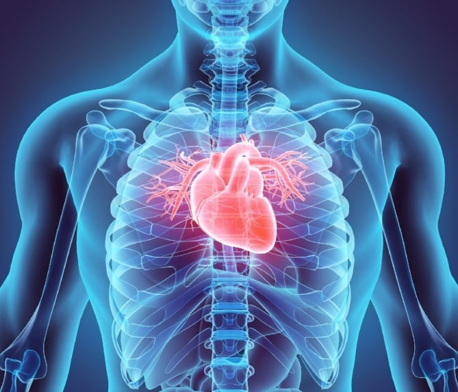 vagus nerve heart health