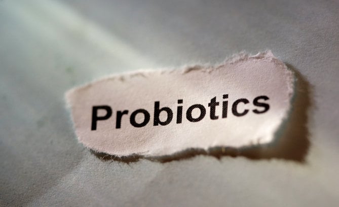 probiotics for leaky gut