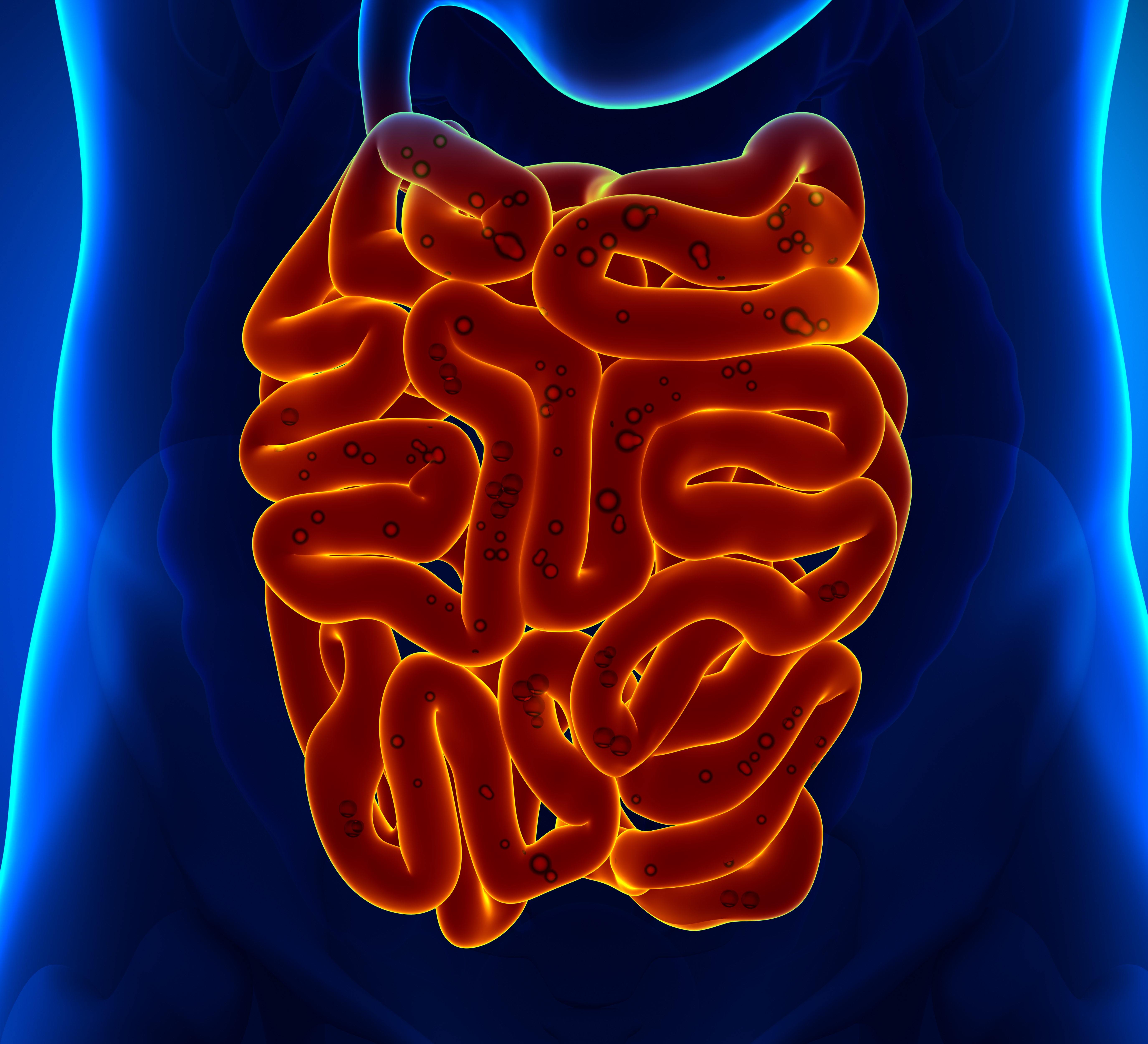 sibo testing and symptoms