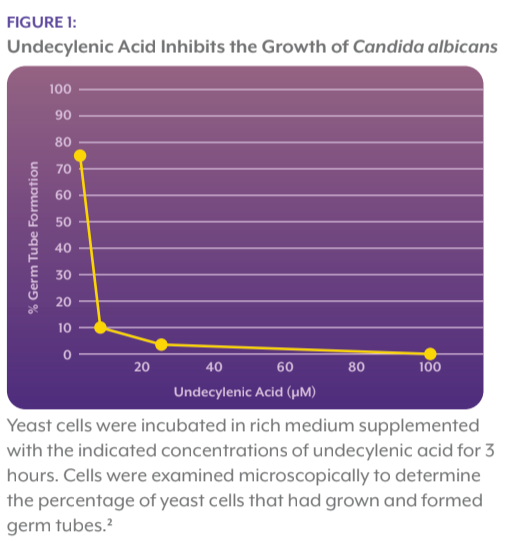 undecylenic_acid_inhibits_the_growth_of_candida