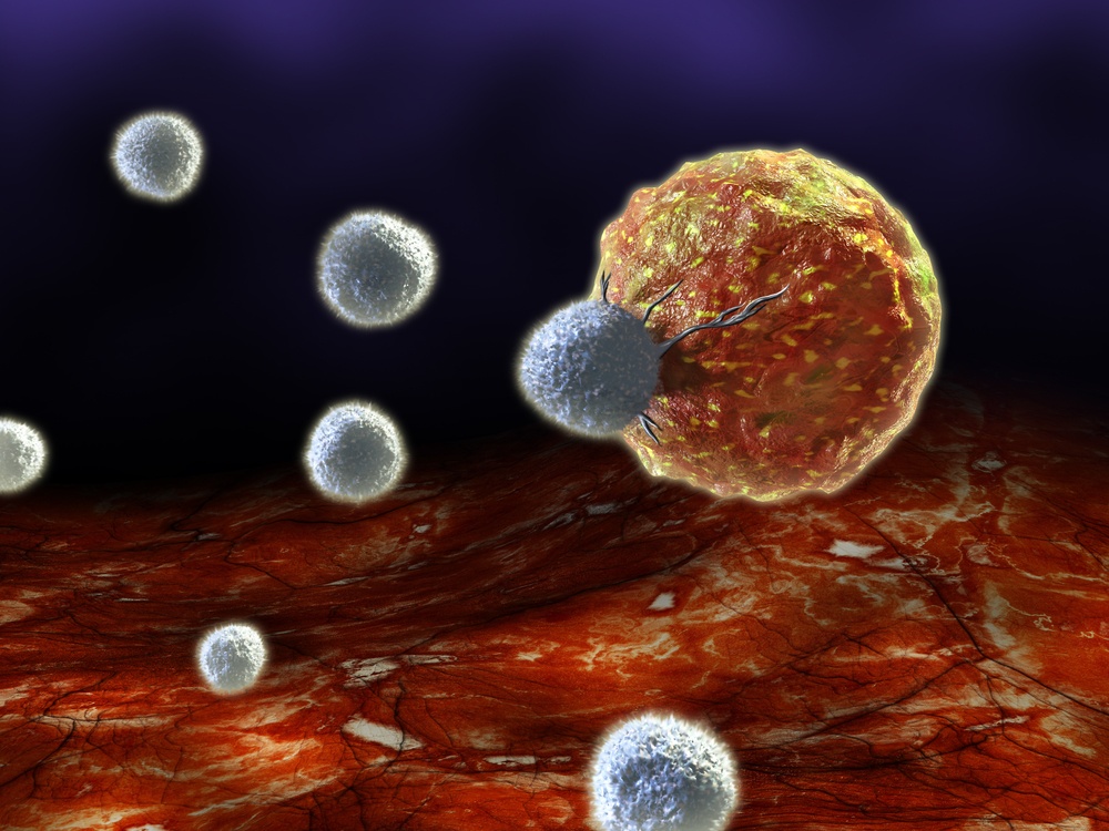 Viral Infection Triggers Attack of ViralInfected Vessels