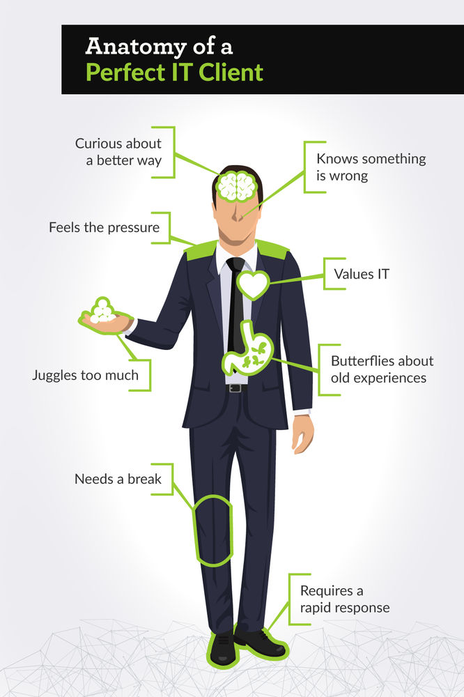 Anatomy of a Perfect IT Client