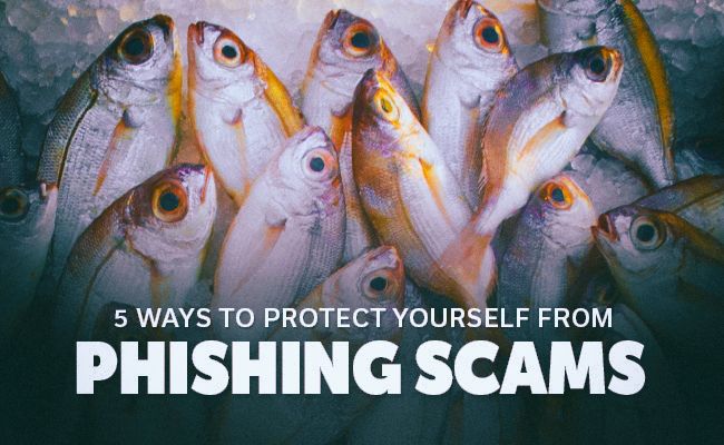 Protect Yourself Online: Phishing URLs - IT News - Information