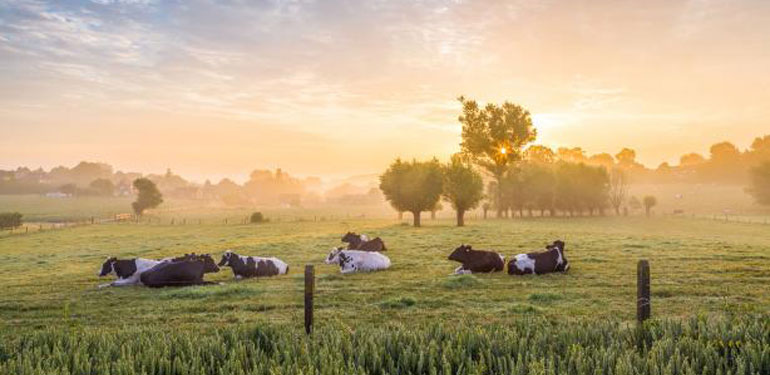 Congratulations to Arla, Winner of the 2015 Best Factory Innovation Award