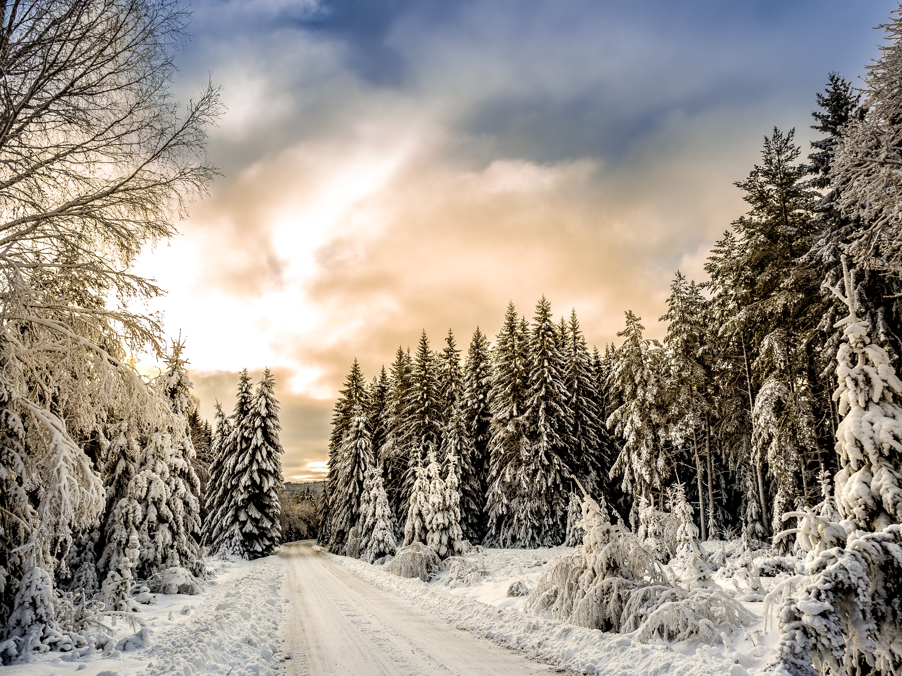 Snow-covered-road-sweden: The importance of getting lost as an expat in Sweden