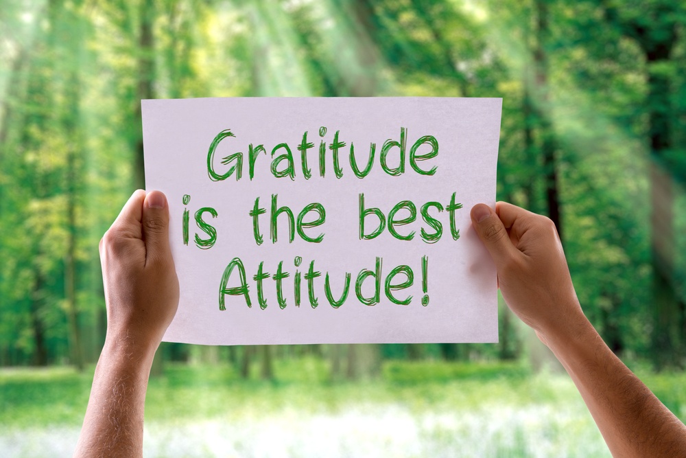Gratitude is the Best Attitude card with nature background.jpeg