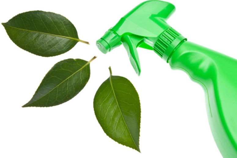 Eco friendly Cleaning 4 Common Misconceptions