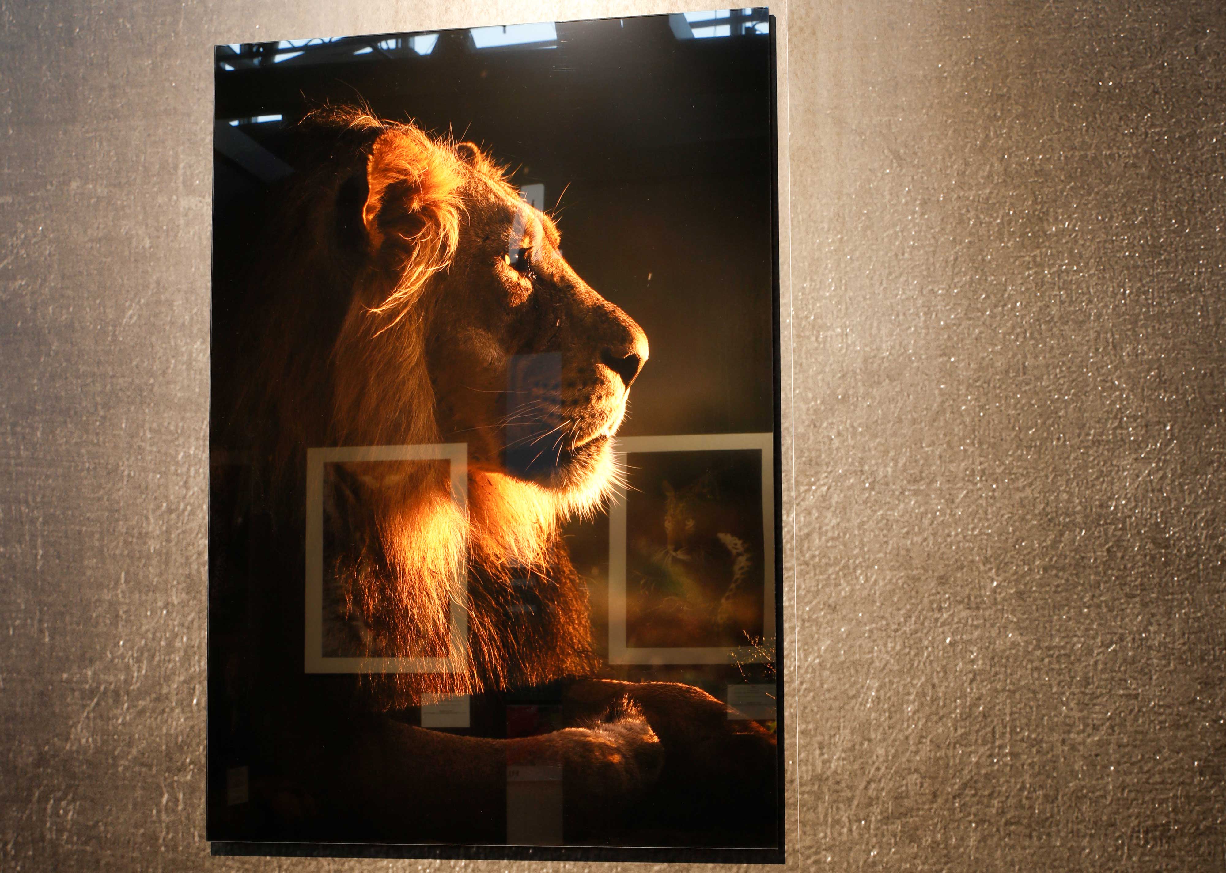 kaschiermaschine_fotos_acrylglas