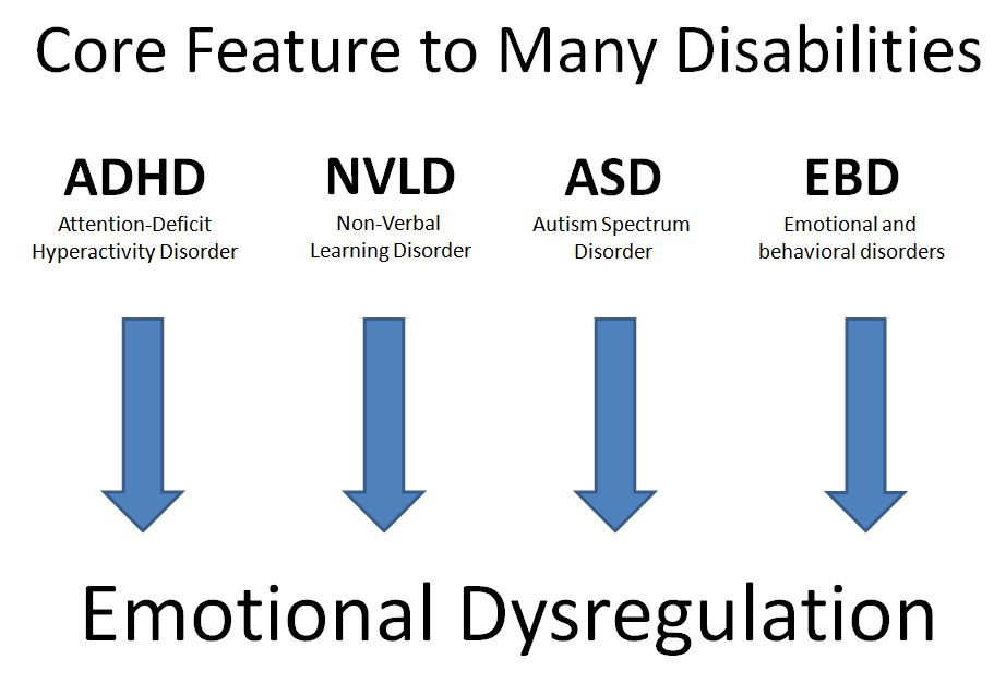 Core Feature to Many Disabilities