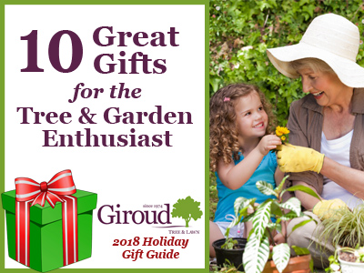 2018-10-Great-Gifts-for-the-Tree-and-Garden-Enthusiast-Hubspot