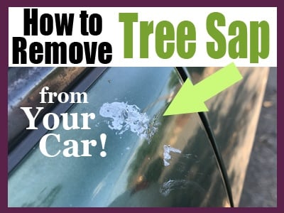 How to Remove Tree Sap from a Car