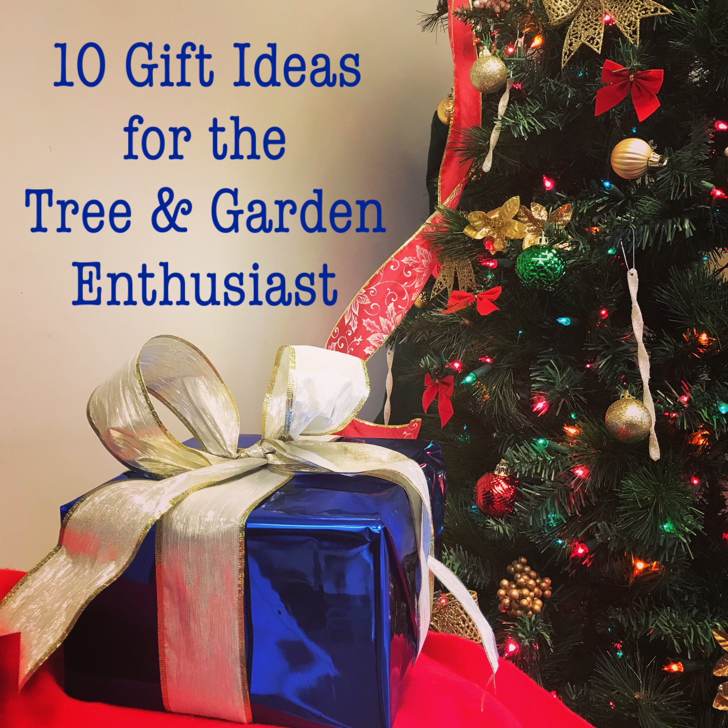 Blog - 10 Gift Ideas.jpg