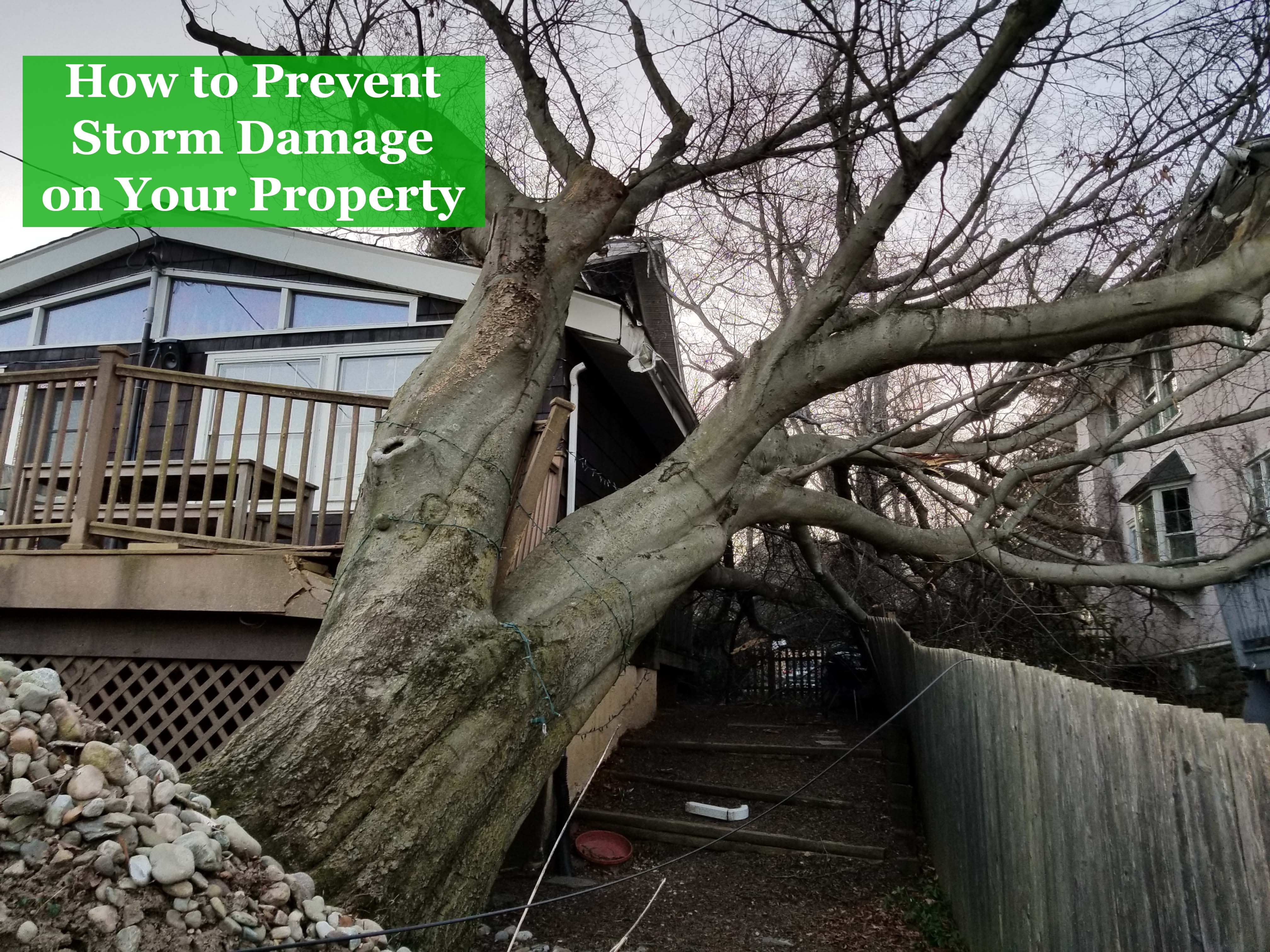 How to prevent storm damage on your property