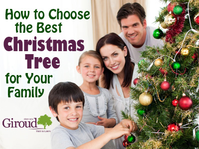 How to choose the best christmas tree for your family-Hubspot