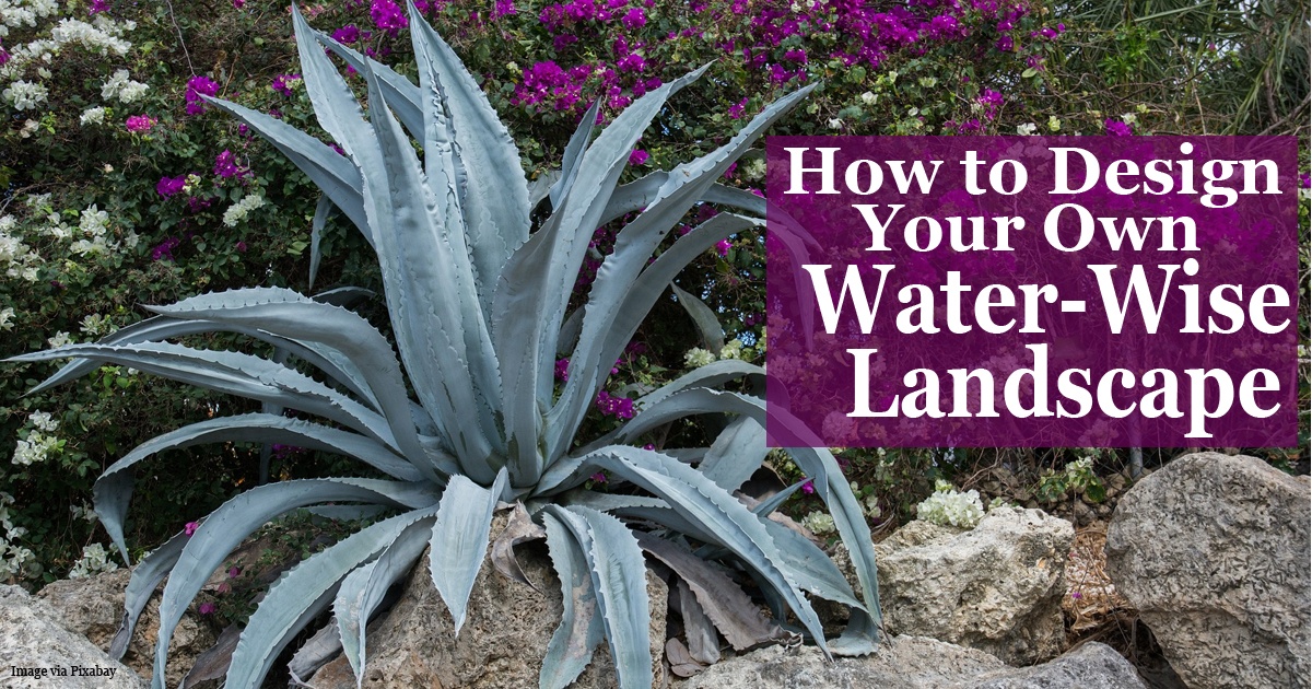 How to design your own water wise landscape