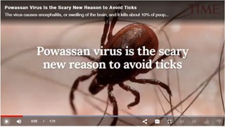 Ticks Are Spreading Powassan Virus 100% Organic Tick Control Stops the Bites and Safely Protects Children, Pets and Pollinators
