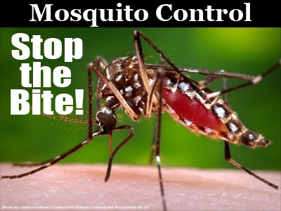 Mosquito Control Stop the Bite
