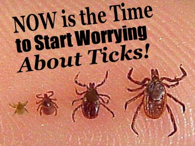 Now is the Time to start worrying about ticks- Hubspot