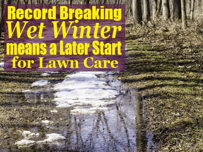 When to start treating your lawn