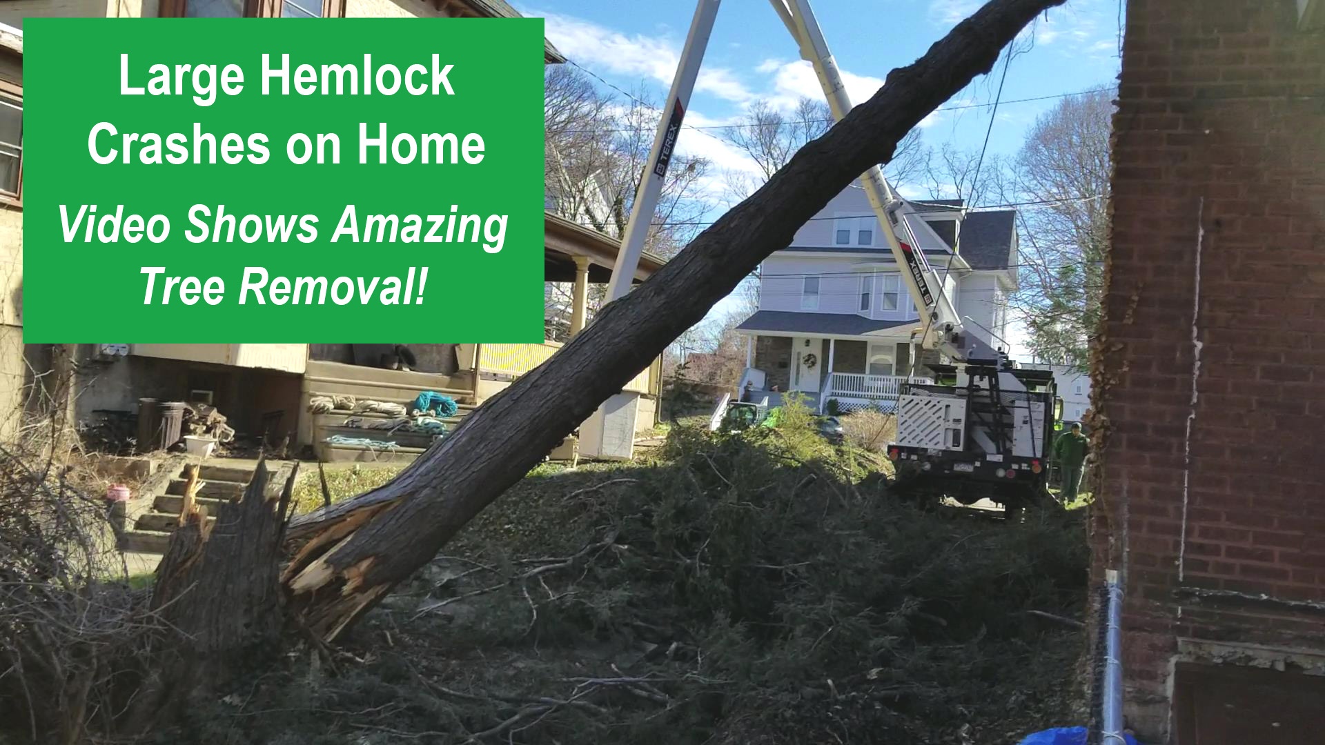 Large Hemlock Crashes Down on Home, Video Shows Amazing Tree Removal