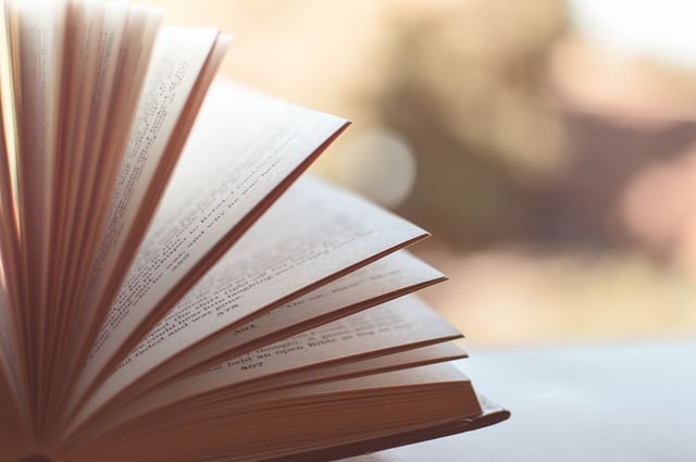 The 31 Literary Devices You Must Know