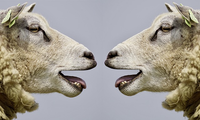 summary image