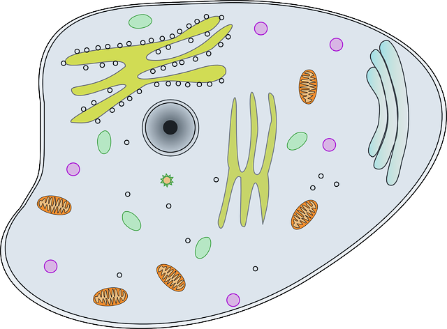 summary image
