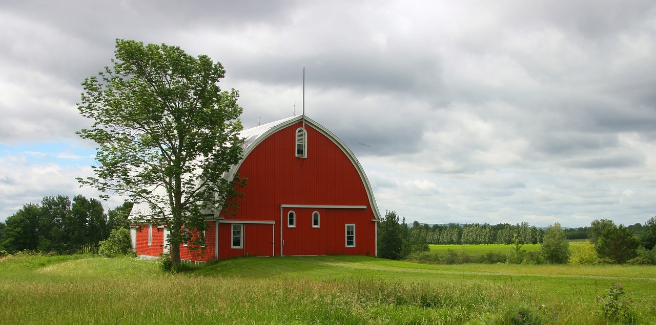 5 Tips for Building On-Farm Storage Buildings