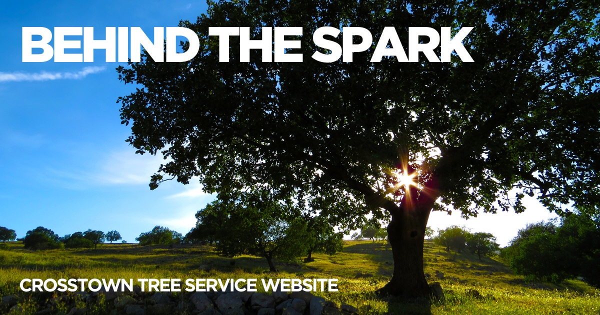 Behind the Spark // Crosstown Tree Service Website