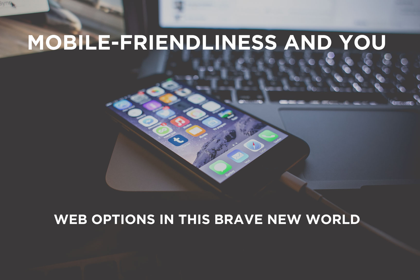 Mobile-Friendliness and You // Web Options in This Brave New World