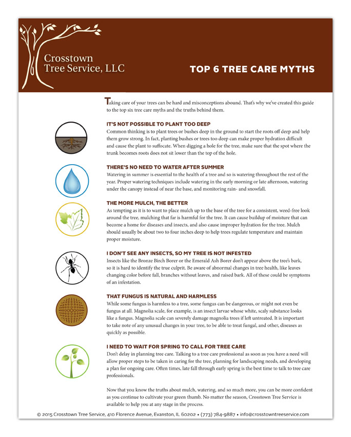 Top_6_Tree_Care_Myths_shadow_72