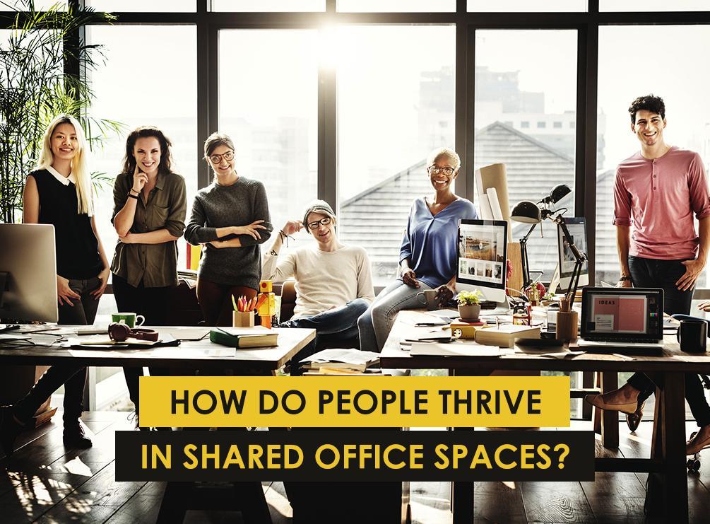Shared Office Spaces