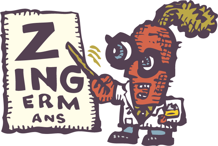ZingTrain Zingermans Vision