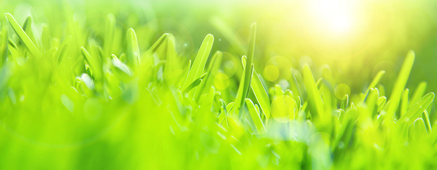 The grass and bottom line ARE greener with reprocessing