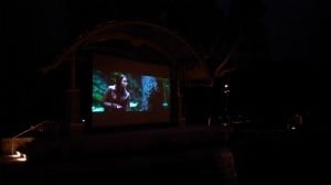 outdoor movie screen rentals charleston south carolina