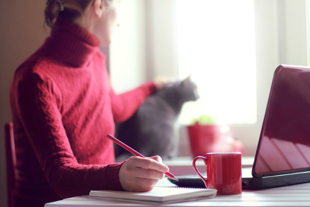 woman stroking cat while writing