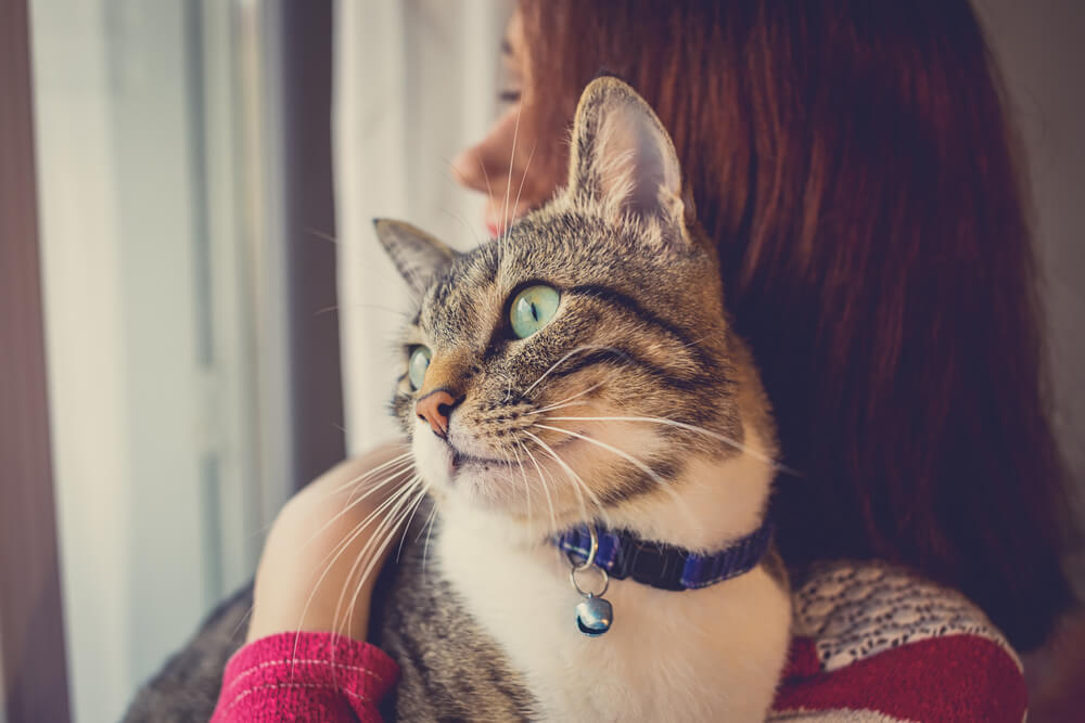 cat held by woman owner