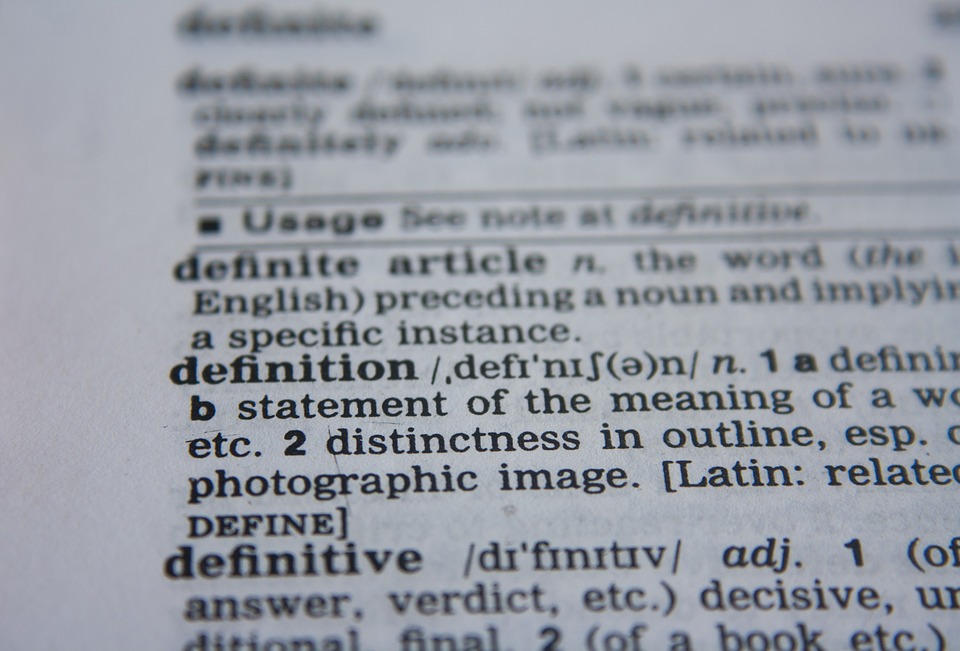 definition of the word definition