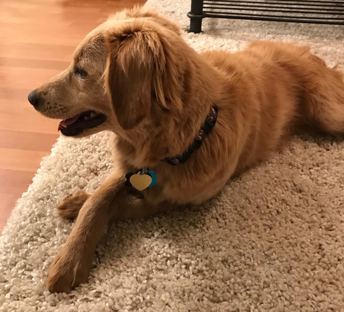 Murph.jpg
