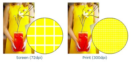 pinckney_marketing_yellow_woman_pattern
