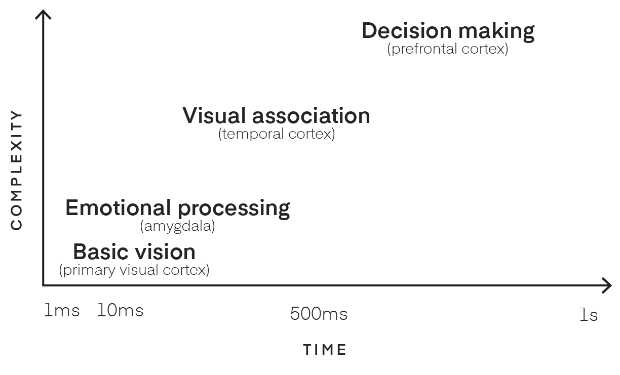 decision making prefrontal cortex