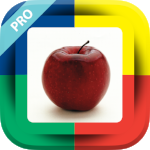 Language Builder Pro Version App Store Icon