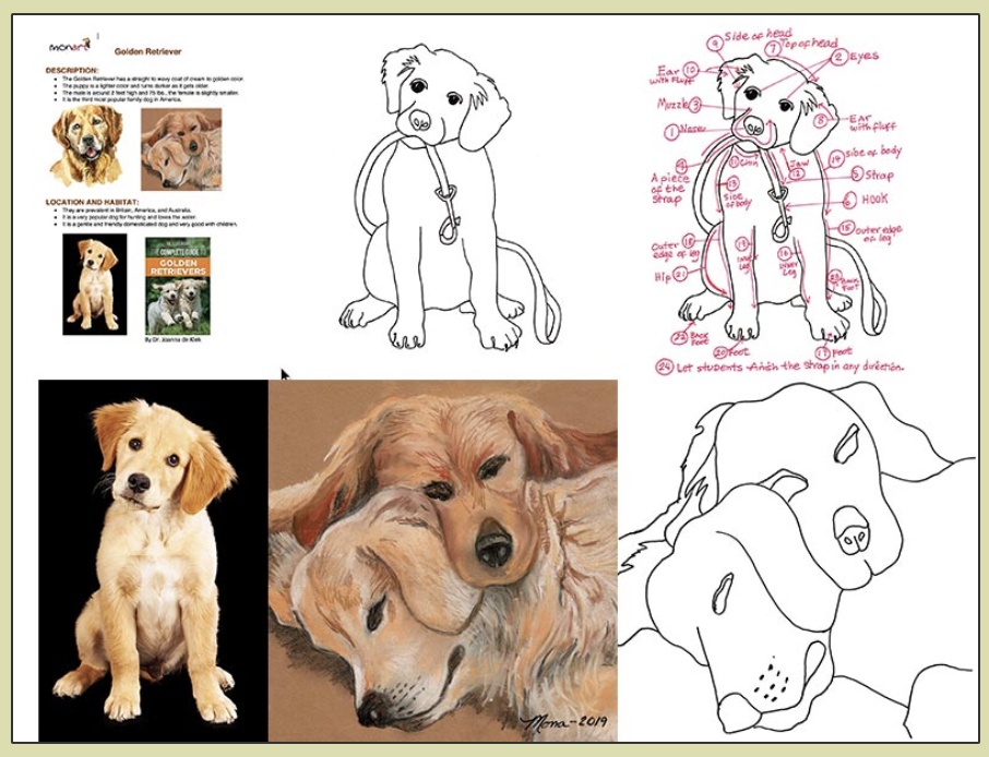 monart dog drawings