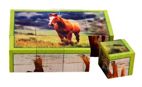 horse-puzzle-stages-learning.jpg horse-puzzle-stages-learning.jpg