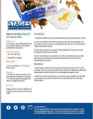 Mastering Matching 3D - 2D Lesson Plan