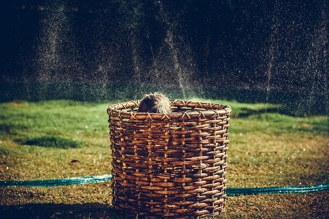 Four Ways to Make Your Backyard More Autism Friendly