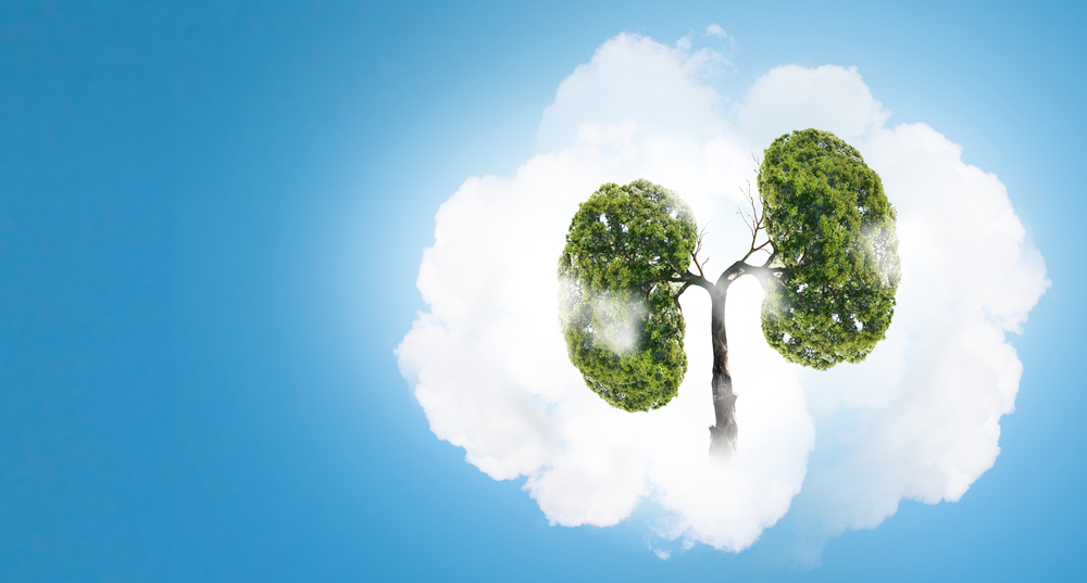 Conceptual image of green tree shaped like human lungs