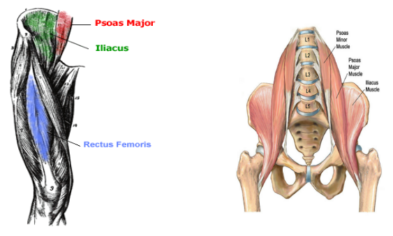 5 Hip Flexor Stretches